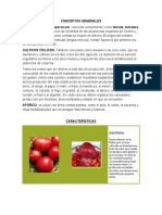 Conceptos Generales Del Tomate