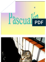 Pascualín