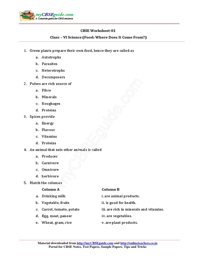 Class VI Science: Food Sources Worksheet | PDF | Science & Mathematics ...