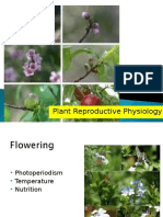 Flowering Physiology