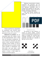 III. Tipuri de Raster PDF