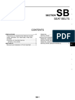 Cinturones de Seguridad.pdf