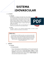 Sistema Cardiovascular