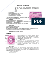 Informe de Histologia II Helen