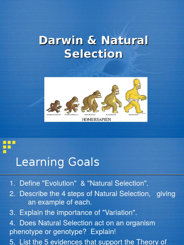 darwin natural selection Natural Selection Diversity