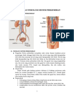 Anatomi Dan Fisiologi Sistem Perkemihan