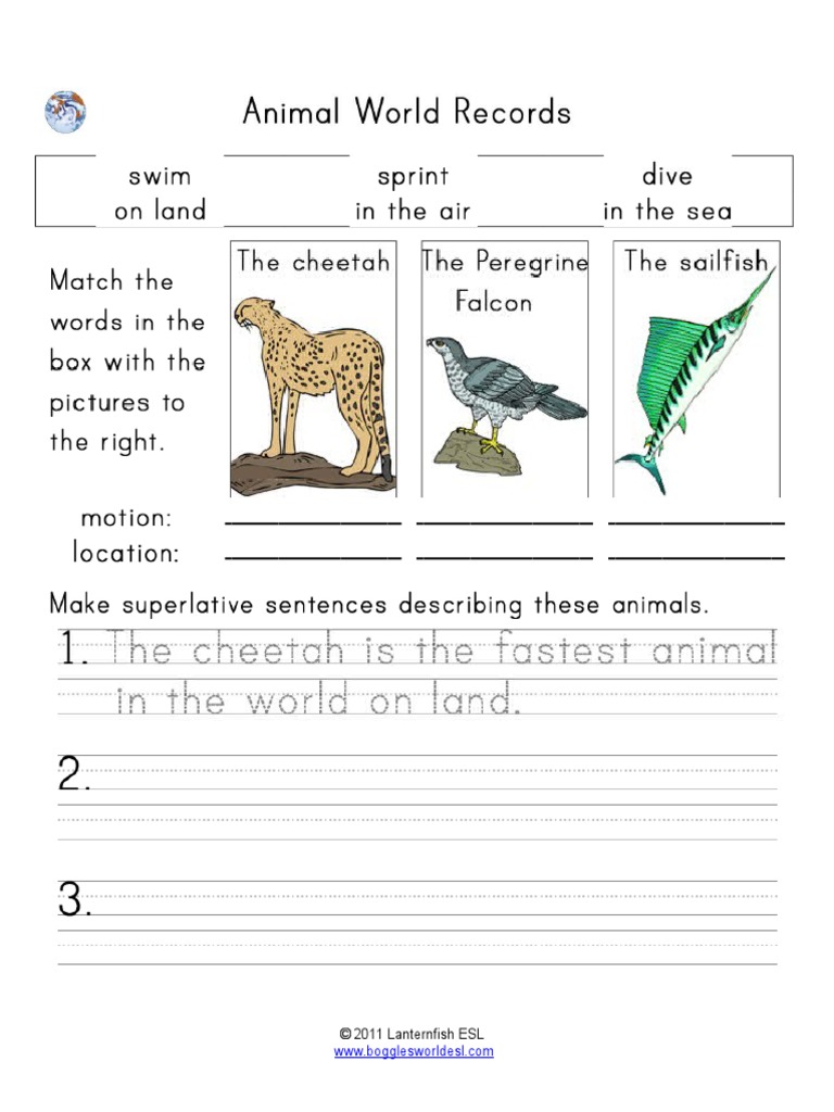 Fastest Animals | PDF