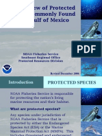 Protected and Endangered Species, Gulf of Mexico