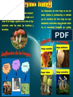 Reino Fungi PDF