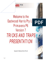 100602_P6V_ Bars_Tricks_and_Traps.pdf