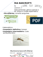 Desenho Seminário