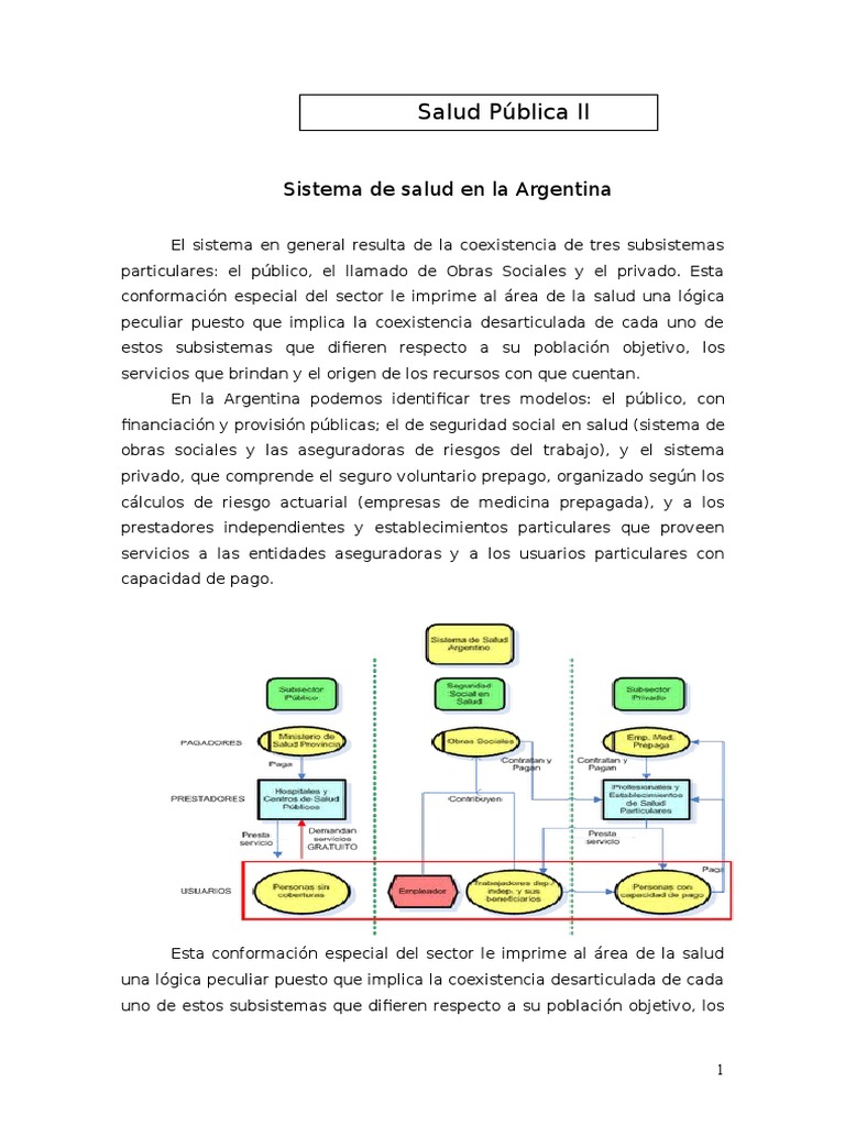 Estructura del Sistema de Salud en Argentina | PDF | Hospital | Seguro