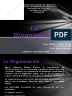 La Organización