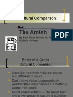 Amish PP