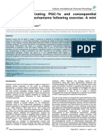 Mechanisms Activating PGC-1α and Consequential Transcriptional Mechanisms Following Exercise