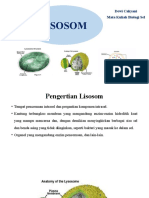 Lisosom