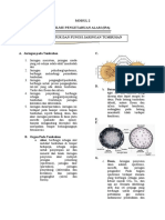 MODUL 11 Struktur Dan Jaringan Tumbuhan