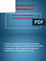 Genitourinary Emergency: Prof. Dr. Mostafa Sakr Genitourinary Surgery