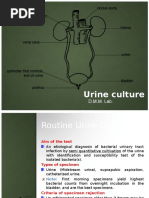 Urine Culture Procedure Manual | PDF | Urinary Tract Infection ...