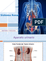 409 CLASES Sistema Renal