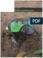 Introduccion Alos Escarabajos Coprofagos