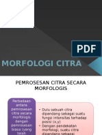 Morfologi