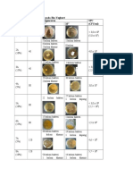 Tabel 2. Hasil Isolasi BAL Pada Bio-Yoghurt: Kel. Menit Ke-Pengenceran SPC (CFU/ml) 10 10