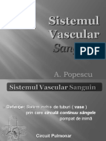 Curs 1-Vascular.pdf