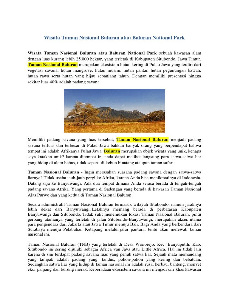 Wisata Taman Nasional Baluran Atau Baluran National Park