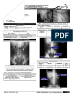 Abdominal Radiology: Gas Patterns, Air Fluid Levels and Contrast Studies