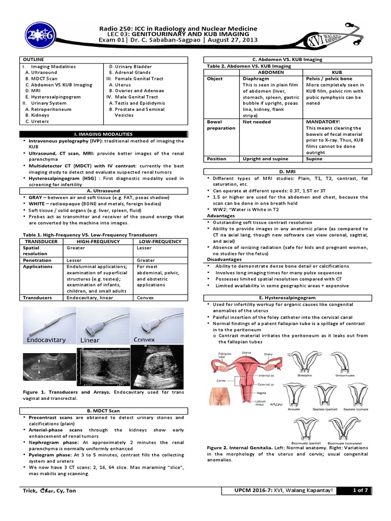 KUB Imaging in Genitourinary Radiology | PDF | Medical Imaging | Ovary