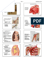 1 Anatomia Locomotor m Superior Usa 2017 Alu.pdf