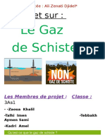 Projet Sur Le Gaz de Schiste