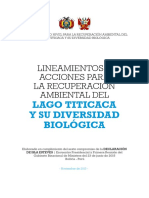 Documento Lineamientos y Acciones 