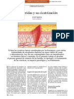 Las Heridas y Su Cicatrización_Dermatologia