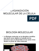 Organización Molecular de La Célula
