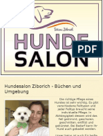 Hundesalon Ziborich - Büchen Und Umgebung, Hundefriseur