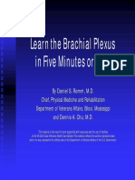 Brachial Plexus in 10 min.pdf