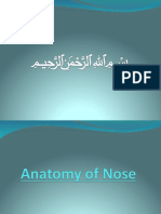 Anatomy of Nose