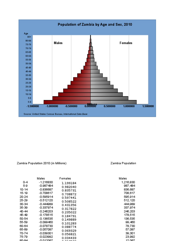 Population of Zambia by Age and Sex, 2010: Males Females | PDF