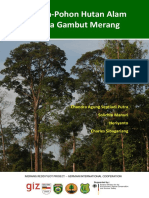 Buku Pohon Pohon Hutan Alam Rawa Gambut Merang PDF