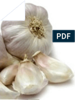 L'aglio, La Cipolla e Il Prezzemolo PDF