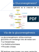 Gluconeogénesis