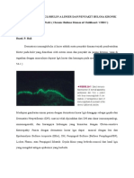 Dermatosis Ig A Linier