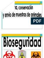 Lab Cl. I 1.1 Toma de Muestras PDF