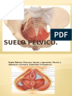 Suelo Pelvico