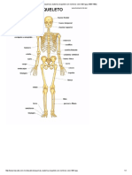 Esqueleto Con Nombres y A Color PDF