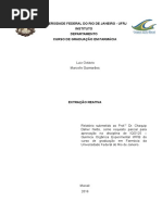 Relatório  - Extração reativa