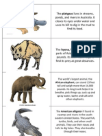 Animal Cards