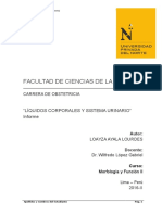 Loayza Ayala Lourdes Informe Cuarta Unidad MF II